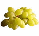 A bunch of grapes