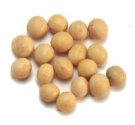 Soy beans